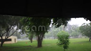 雨中的绿色公园。 泰国，曼谷。 <strong>高清高清</strong>